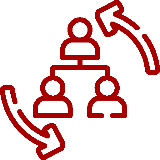 Professional Legal and Consulting Company